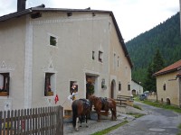 /album/engadin/p1000426-kl-jpg/